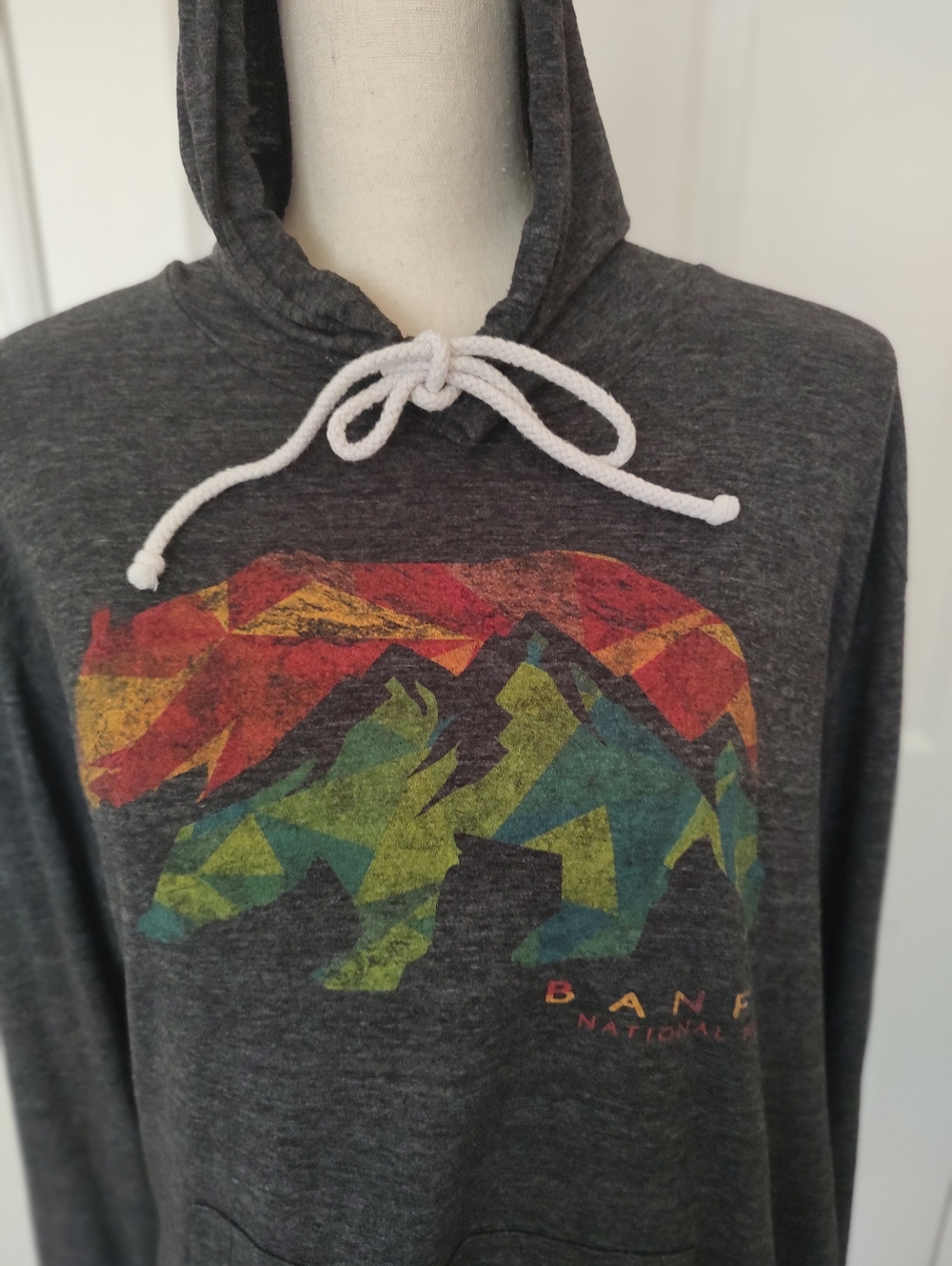 Banff National Park Bear Hoodie Blue 84 Rainbow Gorpcore Canada  M
